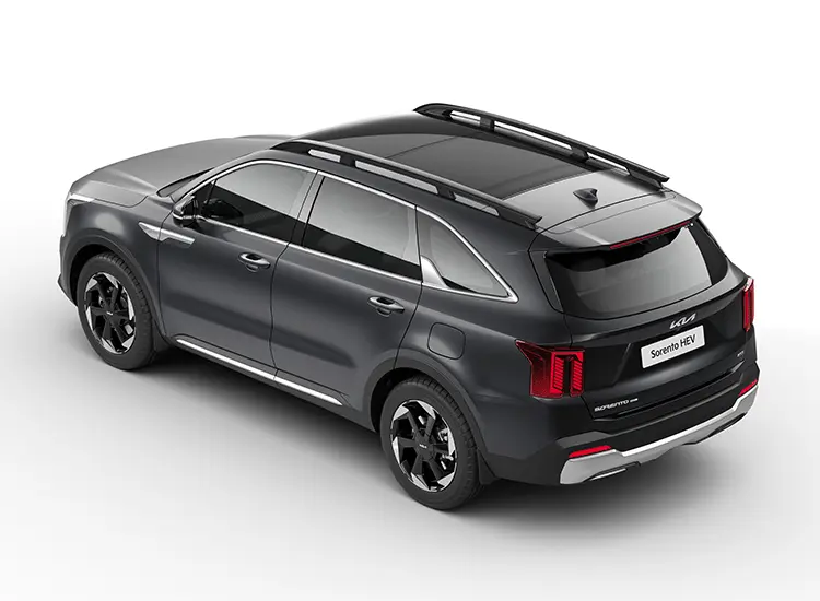 Dual Pane Panoramic Sunroof